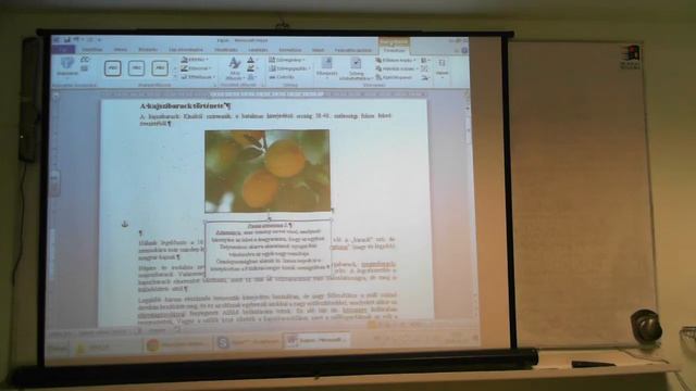 Informatika érettségi előkészítő 2013.10.18 - Word смотреть онлайн
