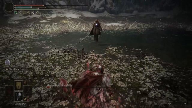 Malenia vs Eleonora Poleblade (and Tiche in 2nd phase) [Elden Ring PC Indonesia] смотреть онлайн