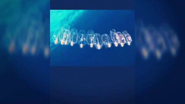 Самые странные рыбы смотреть онлайн