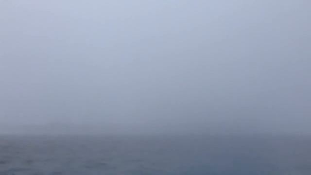 Ноябрь. Нева #СтихиПротивВируса смотреть онлайн