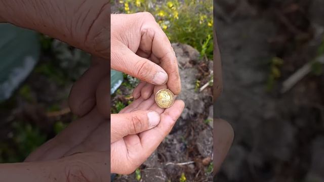 В ПОИСКАХ КЛАДА.ПОШЛО "ЗОЛОТО"! смотреть онлайн