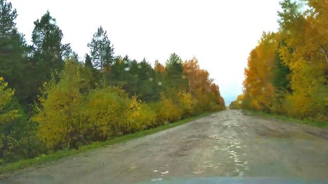 Вот таки дороги в Томской области, дорога в Каргасок через 7 лет смотреть онлайн