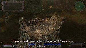 Где искать яйца для Повара в моде Народная Солянка 2016 - S.T.A.L.K.E.R.: Т.Ч.