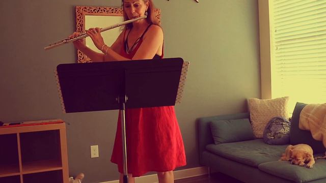 Colorado All-State Flute Etude 2020, Andersen, op. 33 #14 смотреть онлайн
