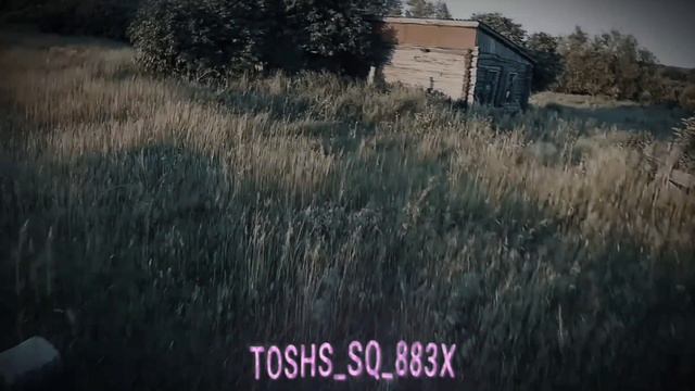 ГОЛОДНЫЕ ИГРЫ🔪...@max.vashchenko @vashchenko_live смотреть онлайн