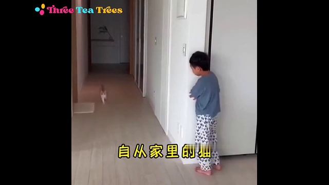 Cats Scaring Their Owners By Doing Some Freaky Things смотреть онлайн