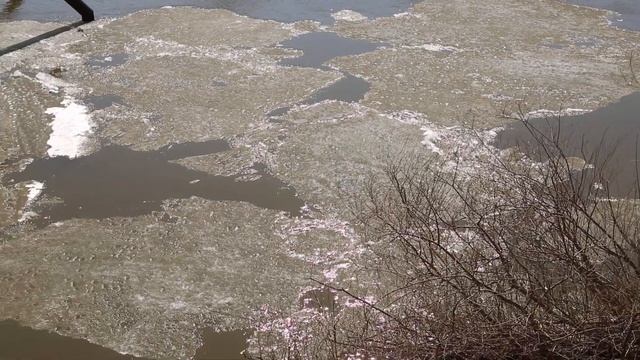 Ледоход на Ишиме - 17 апреля 2021 смотреть онлайн