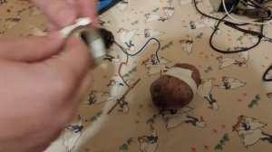 Электричество из картошки!? Картофельная батарея!