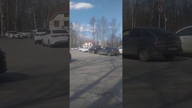 переезд на Бернгардовка Всеволожск смотреть онлайн