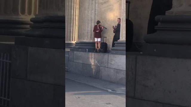молодой скрипач играет на невском😍 #скрипач #скрипка #инструменты #музыка #музыкант #мелодия