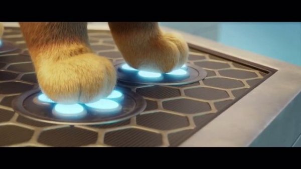 Щенячий патруль в кино ?