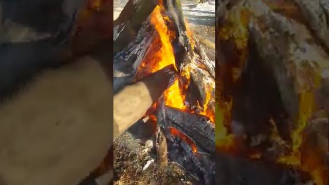 Зимний костер на детских играх смотреть онлайн