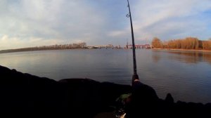 ШОК!!!!!Карась как из пулемёта рыбалка на Грушку