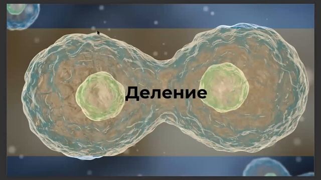 Встреча #4 участников Марафона 4.0 «Привычки на всю жизнь» от сообщества "Окружение" смотреть онлайн