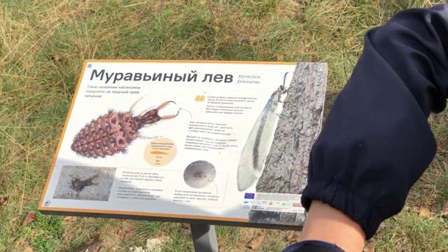Экскурсия Новый веломаршрут / экотропа в Бресте ДОРОГА ЖИЗНИ смотреть онлайн