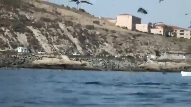 Кит чуть не проглотил лодку смотреть онлайн