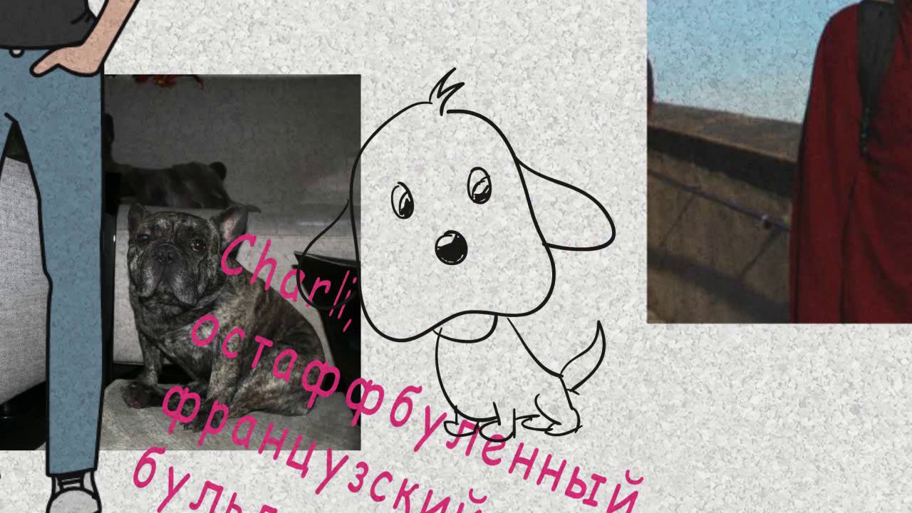 Поздравляю смотреть онлайн