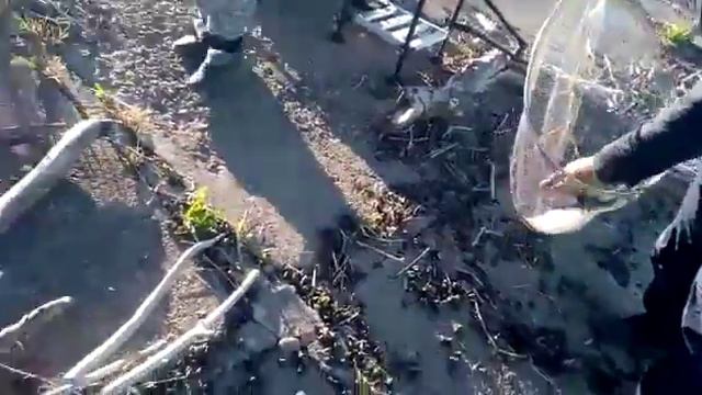 VID 20150425 WA0015 смотреть онлайн