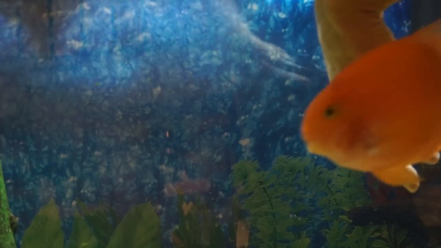 Милотка смотреть онлайн