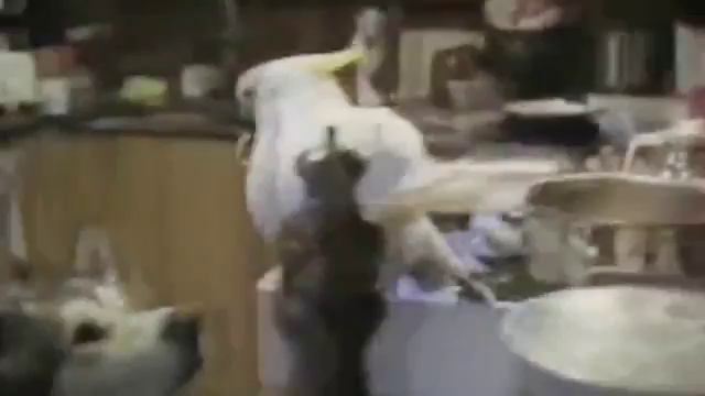 Знайте что настоящие друзья никогда не придадут смотреть онлайн