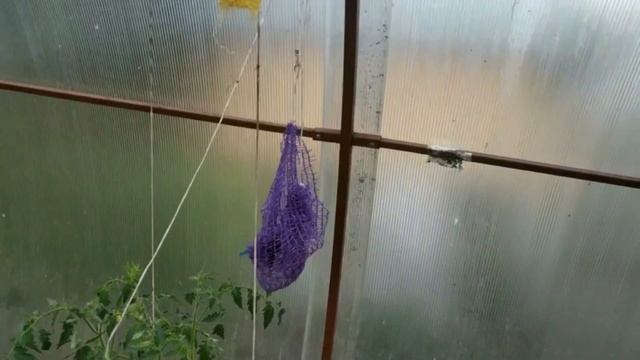 Часть 4 / Выбираем и проверяем на прочность поликарбонат / Сравнение теплиц / Выгодная покупка смотреть онлайн