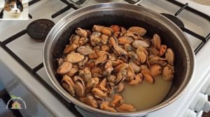 Как пожарить замороженные Мидии без раковин на сковороде