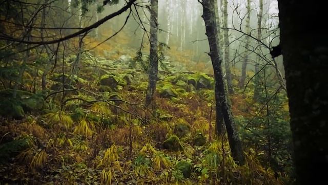 В поход на Таганай приют "Белый ключ". Куда пойти в поход на Урале. Путешествие из Челябинска. смотреть онлайн