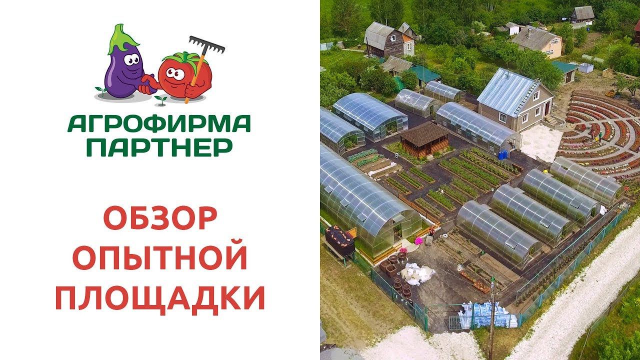 ОБЗОР ОПЫТНОЙ ПЛОЩАДКИ АГРОФИРМЫ "ПАРТНЕР" смотреть онлайн