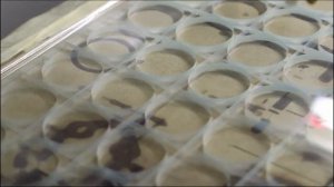 Пикосекундный лазерный станок для резки стекла. Станок для лазерной резки Резка кварцевого стекла