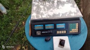 ВИНОГРАД селекции КАЛУГИНА В.М.  ИМПЕРАТРИЦА.