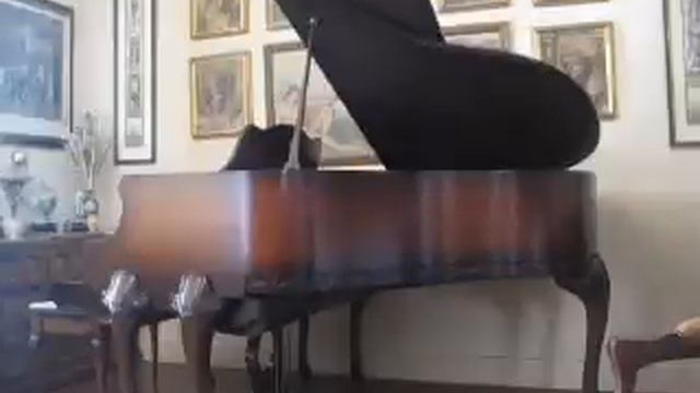 Mason & Hamlin AMPICO repro. piano plays Sampson & Delilah смотреть онлайн