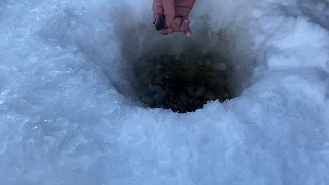 Треска как ловить в Якутии смотреть онлайн