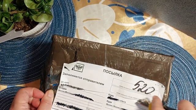 Распаковка хойи, не скажу какой. Показываю хойи компакты разные Hoya Compacta