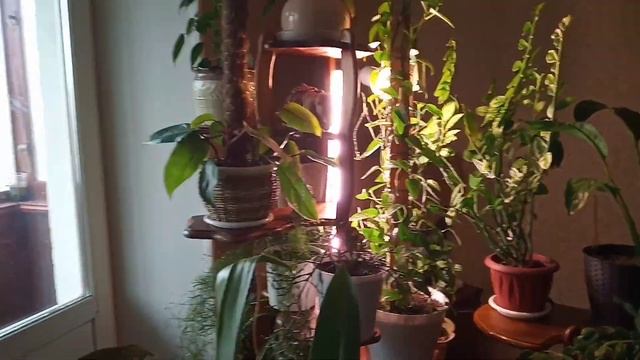 26 марта 2023 г. смотреть онлайн