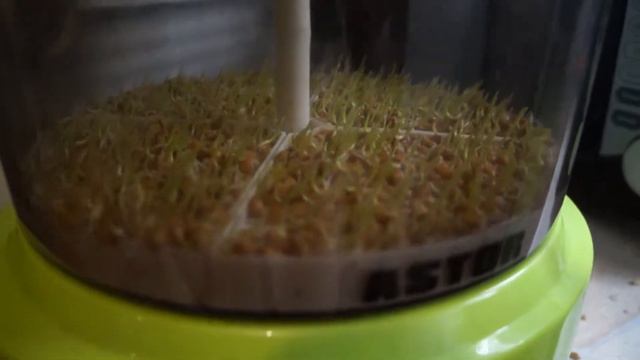 Проращиватель зерен и семян. В режиме АВТОПОЛИВА смотреть онлайн