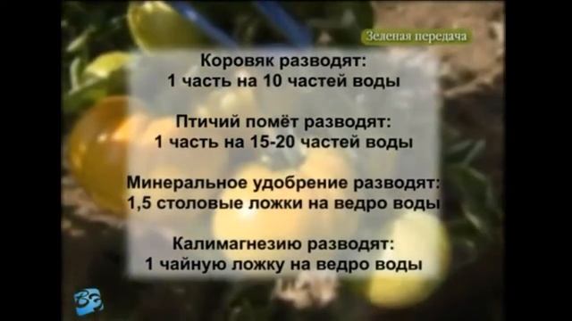 График подкормок томатов смотреть онлайн