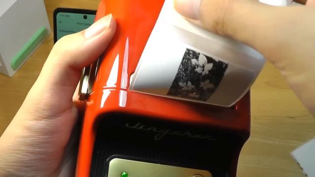 REVIEW: NIIMBOT B21 Inkless Mini Thermal Printer & Label Maker - Retro Design!