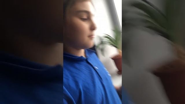 Все цветки описались? смотреть онлайн