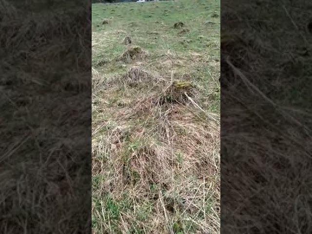 Холмики. Тайна смотреть онлайн