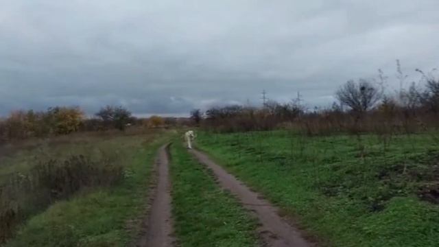 Тимерташ Юзбаш Великан (Украина) сын Линды и Илюши +79048881825 viber whatsapp www.timertash.ru смотреть онлайн