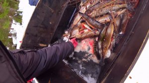 Рыбалка.Неделя в Тайге.Попали на Жор Щуки.Баня в Тайге. Таёжная Кухня.Домашние Пироги.Часть2