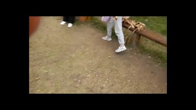 Каждый день! Весь Август для Вас курсы Школы плетения лаптей оз. Увильды Поляна! смотреть онлайн