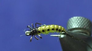 Мушка Rhyacophila fly nymph.