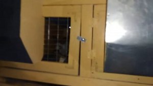 Клетка для кроликов своими руками