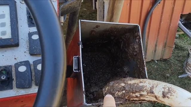 Практика в Дании,Кормление норки . смотреть онлайн