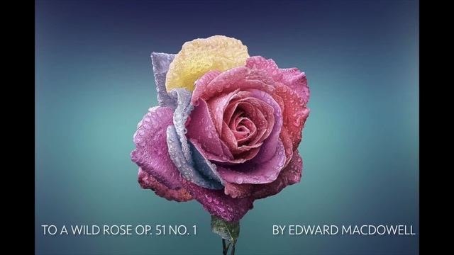 To a Wild Rose from Woodland Sketches, Op. 51 No. 1 | Edward MacDowell смотреть онлайн