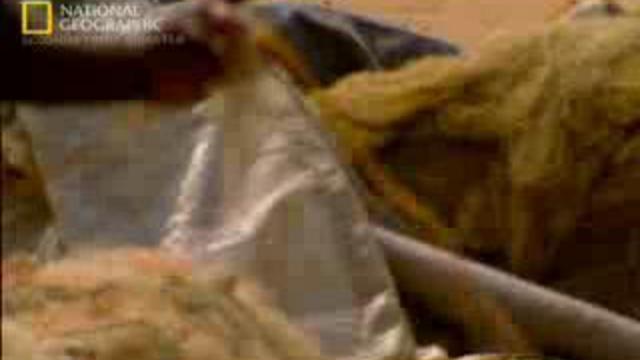 азиатское цунами.national geographic смотреть онлайн