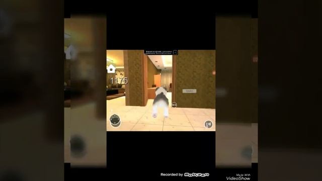 Обзор игры Kitten Cat Simulator