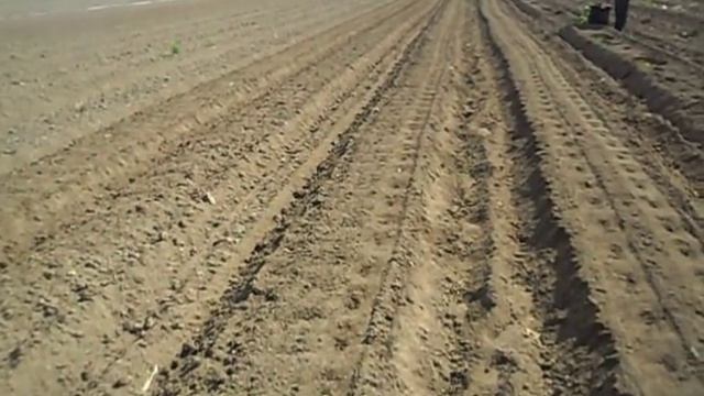 КУКУРУЗНАЯ СЕЯЛКА ТОЧНЕЙШЕГО ВЫСЕВА смотреть онлайн