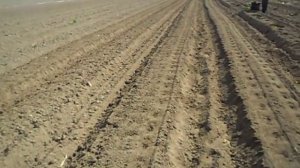 КУКУРУЗНАЯ СЕЯЛКА ТОЧНЕЙШЕГО ВЫСЕВА